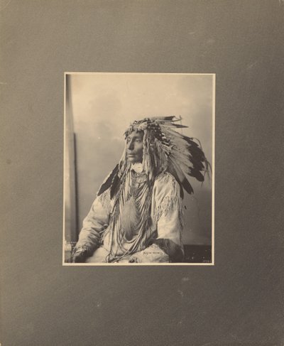 Kill Spotted Horse, Assiniboines de Adolph F. Muhr
