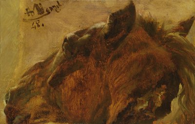 Cabeza de un caballo muerto, 1848 de Adolph Menzel