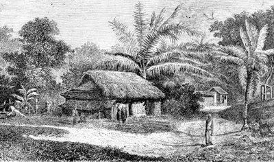Aldea en el valle de Colombo, Sri Lanka (grabado) de Adolph Hermann & Robert (after) Schlagintweit