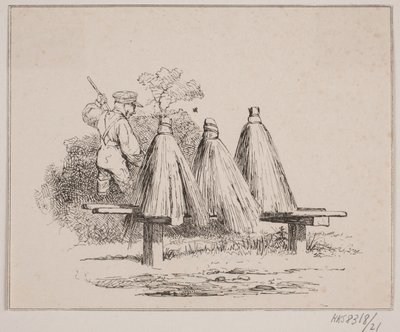 Abeja de Johan Adolph Kittendorff