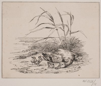 El pato muerto de Johan Adolph Kittendorff