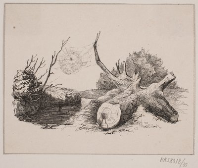 Ederkoppen de Johan Adolph Kittendorff