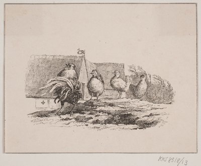 Gallo de Johan Adolph Kittendorff
