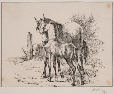 El caballo y el potro de Johan Adolph Kittendorff