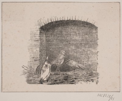 Las gallinas y los patos de Johan Adolph Kittendorff