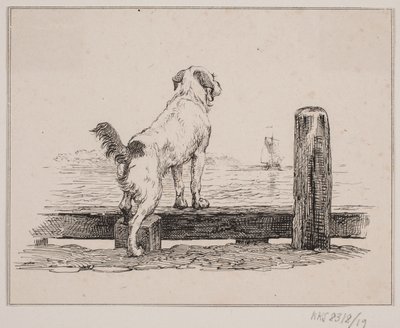 Perro en la playa de Johan Adolph Kittendorff