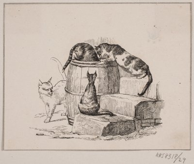 Los gatos de Johan Adolph Kittendorff