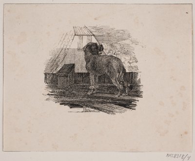 El caniche de Johan Adolph Kittendorff
