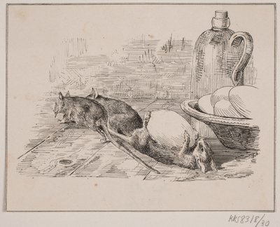 Las ratas de Johan Adolph Kittendorff