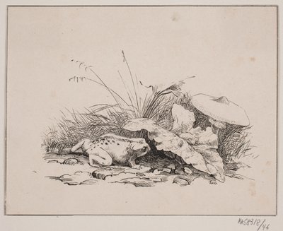 El sapo de Johan Adolph Kittendorff