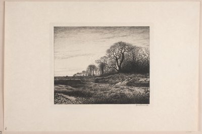Tarde de febrero de Adolph Larsen