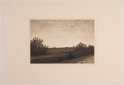 Noche de verano en Rødovre de Adolph Larsen