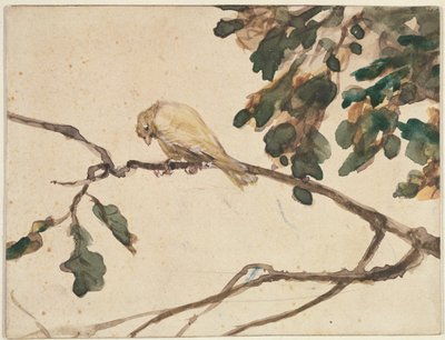Canario en una Rama de Roble de Adolph Menzel