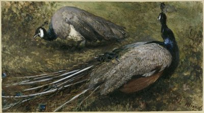  de Adolph Menzel