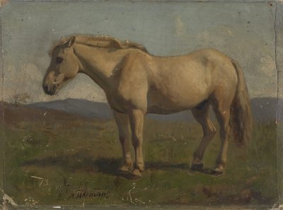  de Adolph Tidemand