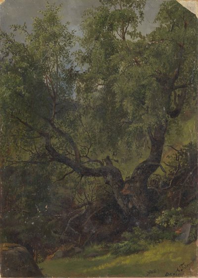  de Adolph Tidemand