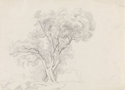  de Adolph Tidemand