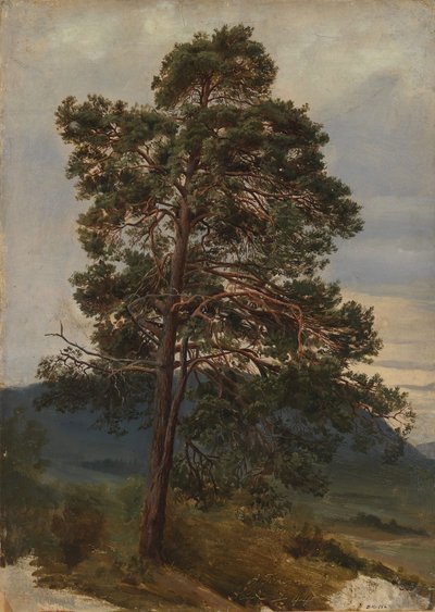  de Adolph Tidemand