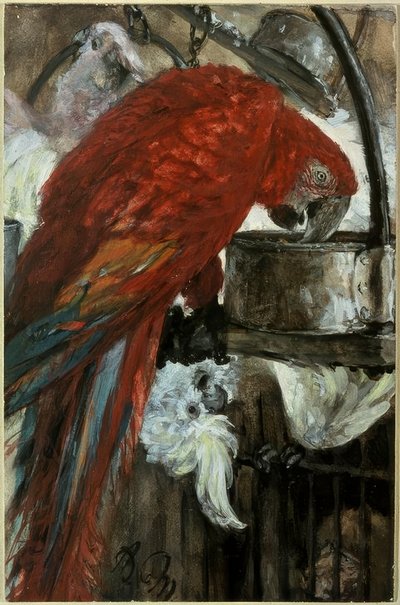 Guacamayo y cacatúa de Adolph Menzel