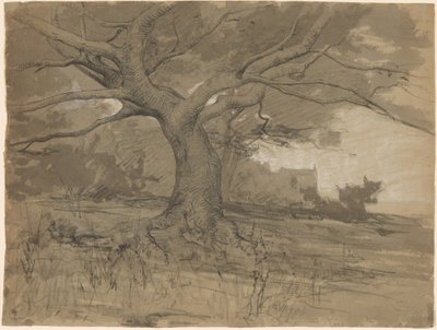 Un gran haya en el borde de un bosque de Adolphe Appian