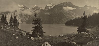 [Paisaje alpino] de Adolphe Braun