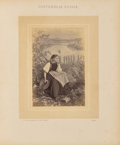 Cantón de Schaffhausen de Adolphe Braun