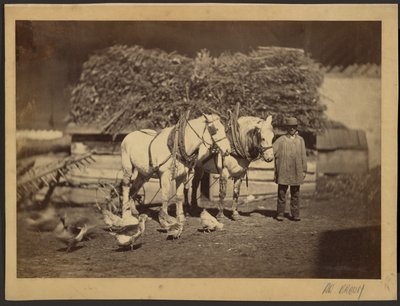 [Escena en el corral] de Adolphe Braun