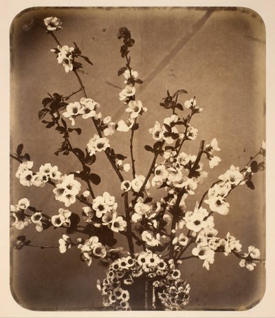 Bodegón floral de Adolphe Braun