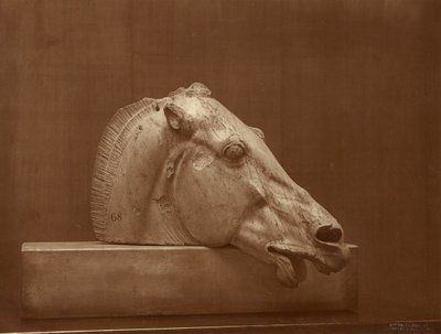 [Cabeza de caballo del frontón del Partenón, Museo Británico] de Adolphe Braun