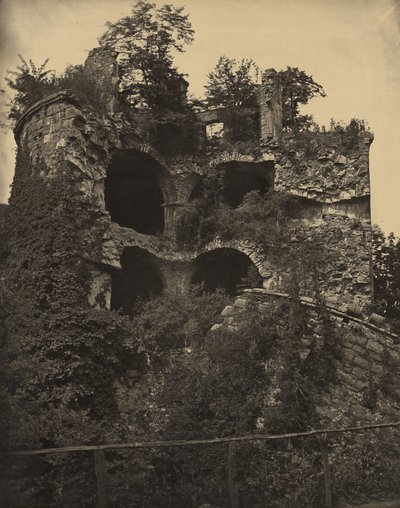 [Castillo de Heidelberg] de Adolphe Braun