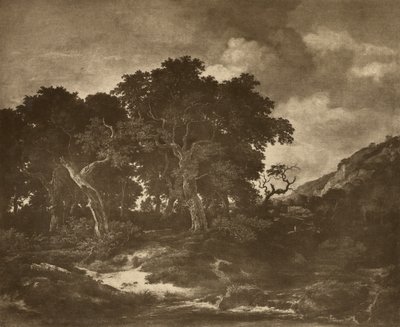 Pintura paisajística de Ruysdael de Adolphe Braun