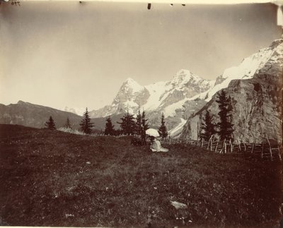 Paisaje, Suiza, c. 1860 de Adolphe Braun