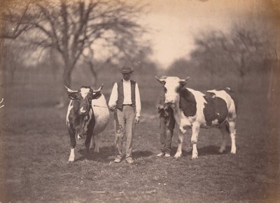 Paisaje,c. 1864 (foto) de Adolphe Braun
