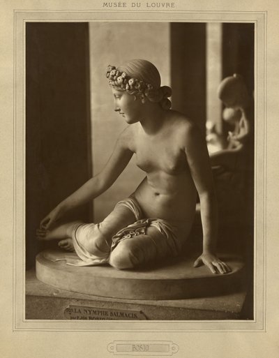 Museo del Louvre, Bosio de Adolphe Braun