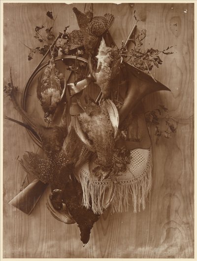 Faisán y urogallo de Adolphe Braun