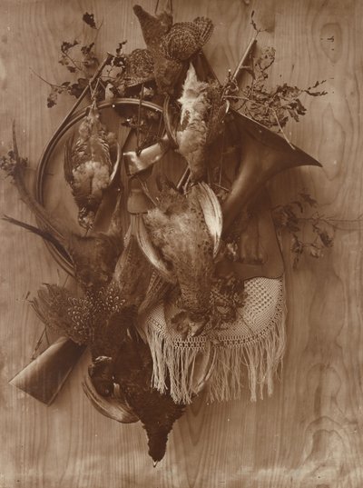 Faisán y urogallo, ca. 1865 de Adolphe Braun