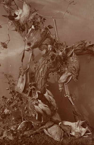 [Still Life: Dead Game] de Adolphe Braun