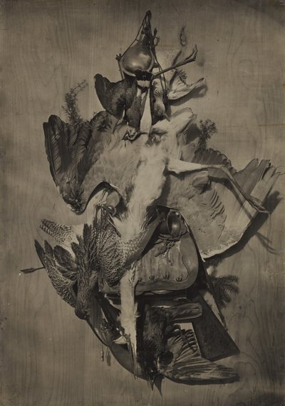 [Naturaleza muerta con caza] de Adolphe Braun