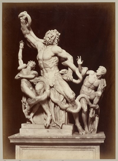 El Laocoonte en los Museos Vaticanos de Adolphe Braun
