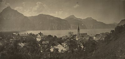 Vista de Flüelen, Suiza de Adolphe Braun
