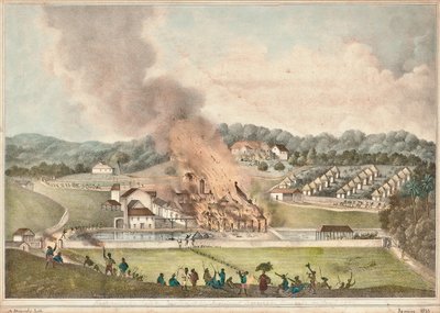 La destrucción de la finca Roehampton en la parroquia de St. James en enero de 1832, 1833 de Adolphe Duperly