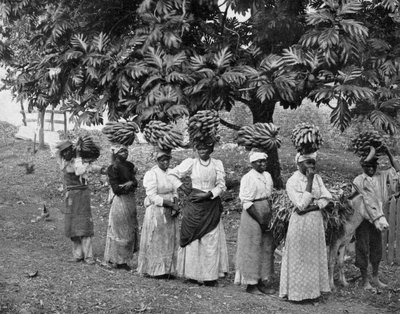 Portadores de plátanos, Jamaica de Adolphe Duperly and Son