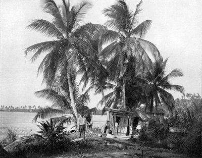 En el camino a Blue Hole, Port Antonio, Jamaica, c1905 de Adolphe Duperly and Son