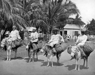 De camino a casa desde el mercado, Jamaica, c. 1905 de Adolphe Duperly and Son