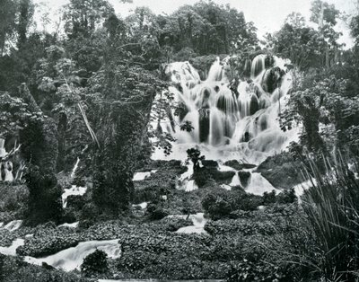 Cataratas del Río Rugiente, Jamaica, c1905 de Adolphe Duperly and Son