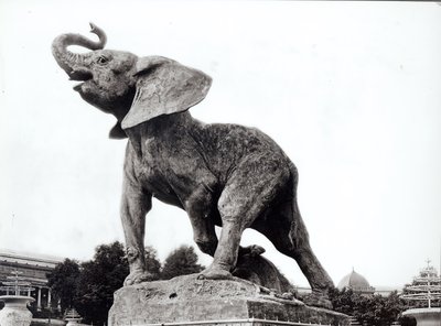 Joven elefante atrapado en una trampa (1878) frente al Palacio de Trocadero, construido para la Exposición Universal (1878), París, 1888 de Adolphe Giraudon