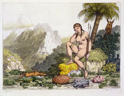 Mujer indígena sudamericana, grabado por Gallo Gallina (1796-1874) de Adolphe Joseph Thomas Monticelli