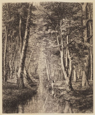 Río bajo el bosque de Adolphe Martial Potemont