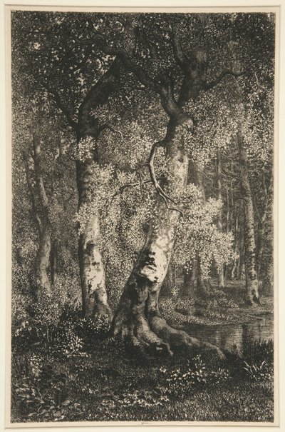 Las hayas de Adolphe Martial Potemont