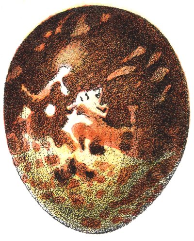 Huevo de un Halcón Abejero (Pernis apivorus), 1923 de Adolphe Philippe Millot